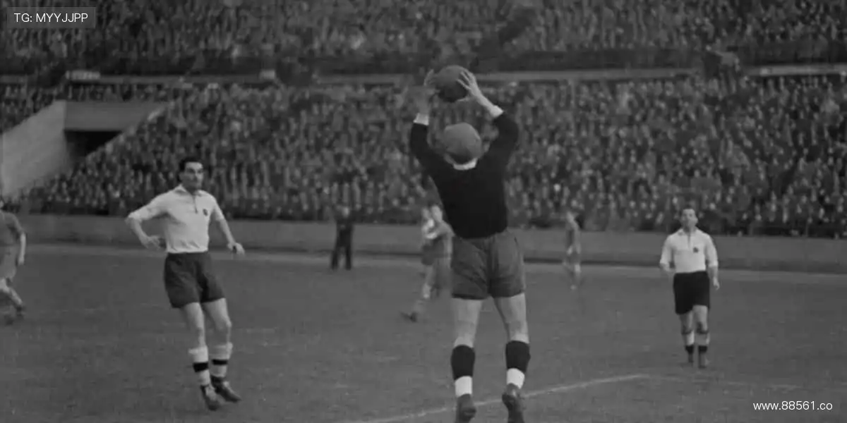 🎥 多机位直击,细节全掌握!📸